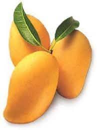 Mango fruit seeds