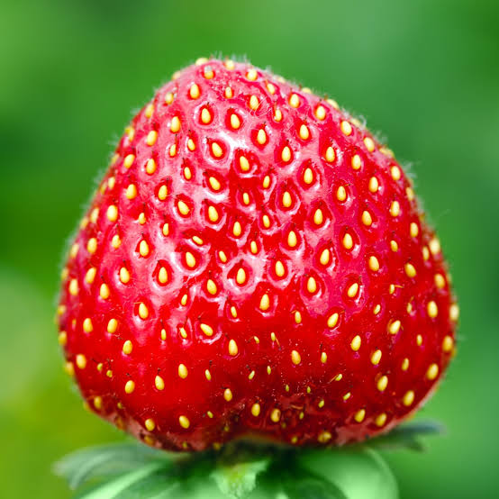 Strawberry Fruit Seeds