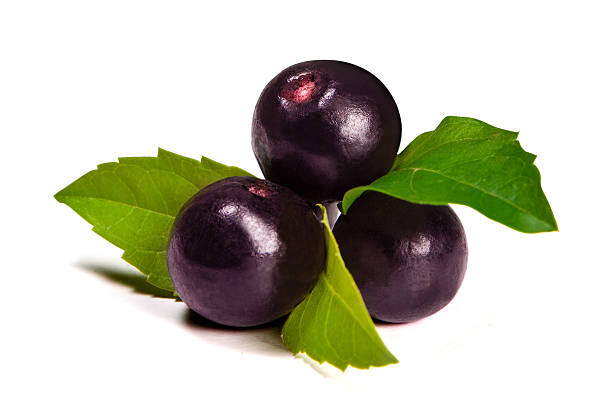 Acai fruit seeds