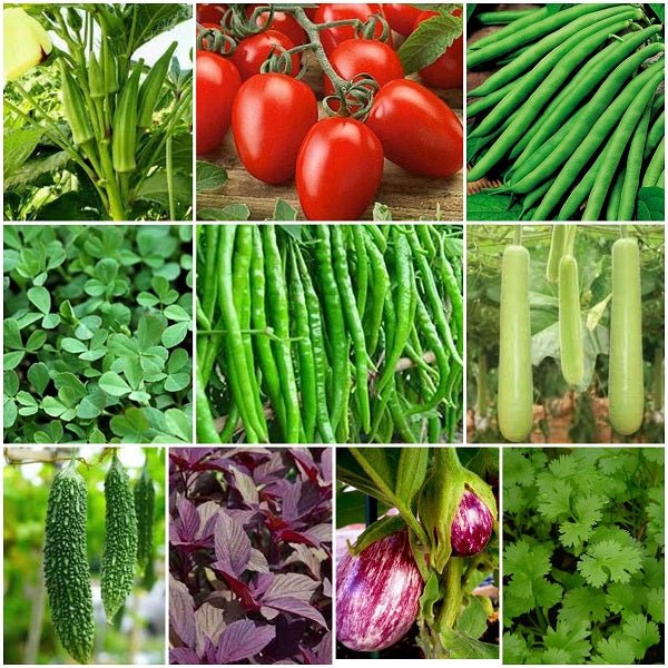 Garden Seeds