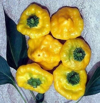 Pepper seeds