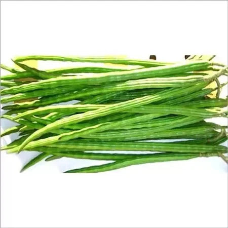 Drumstick Seeds