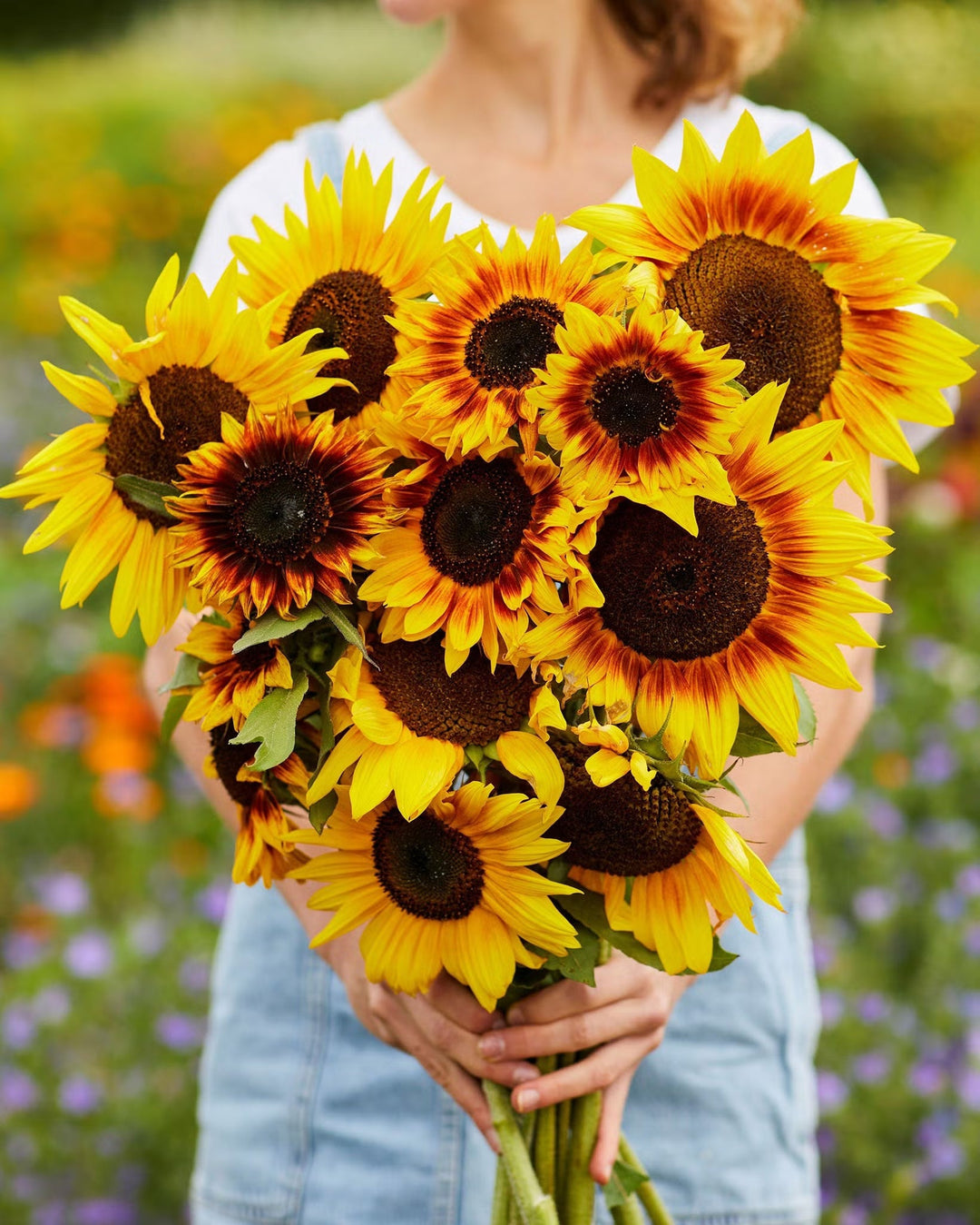 Sunflower Seeds