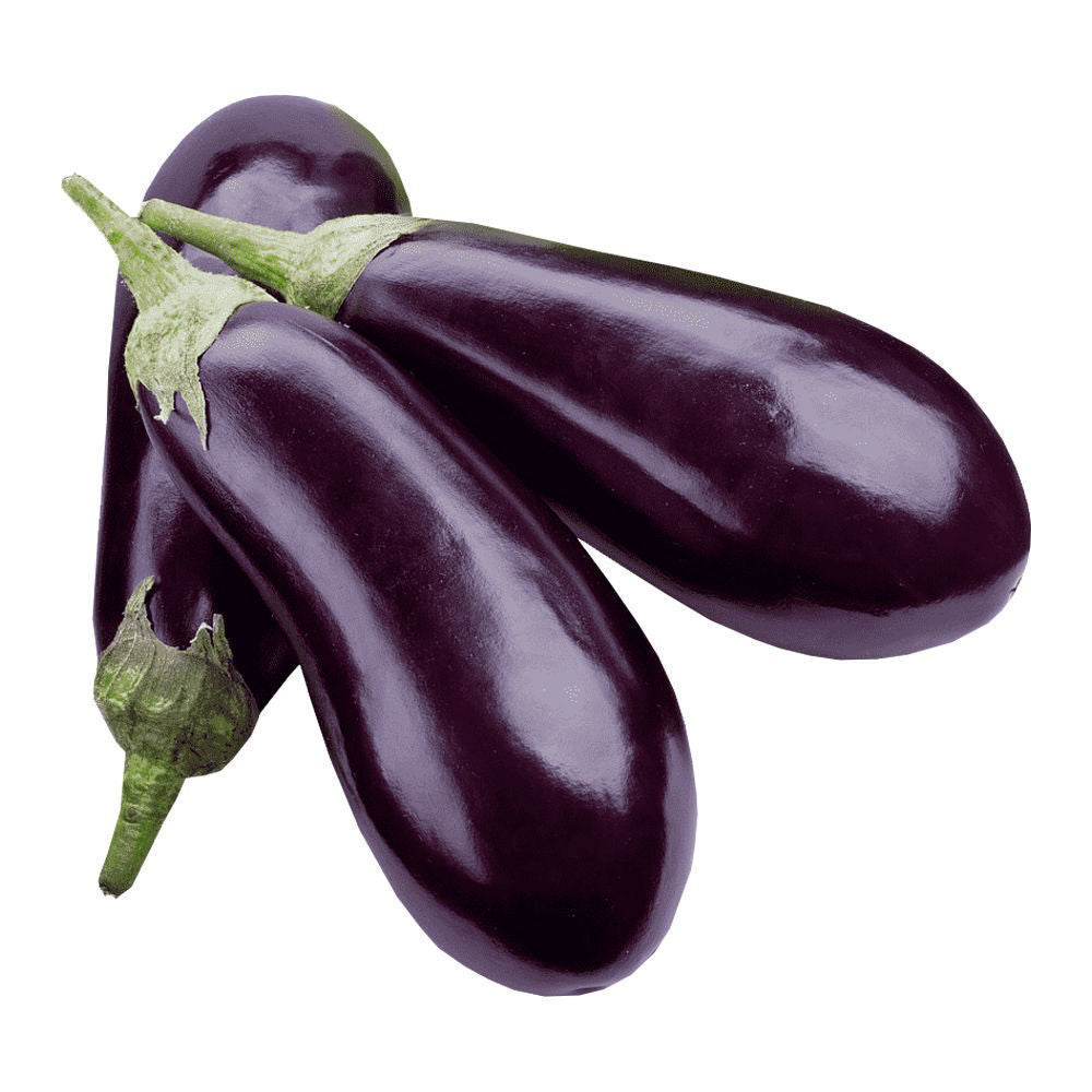 Organic Eggplantor Aubergine Zora Seeds for Planting