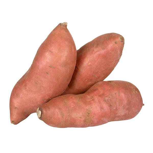 Giant Sweet Potato Vegetable Seeds for Planting
