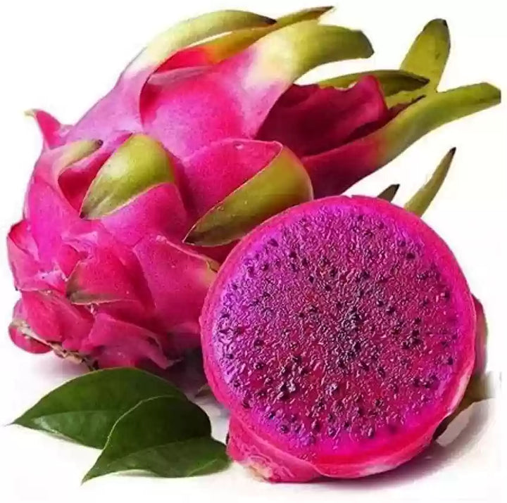 Pitaya frugtfrø til plantning Pink 100 stk