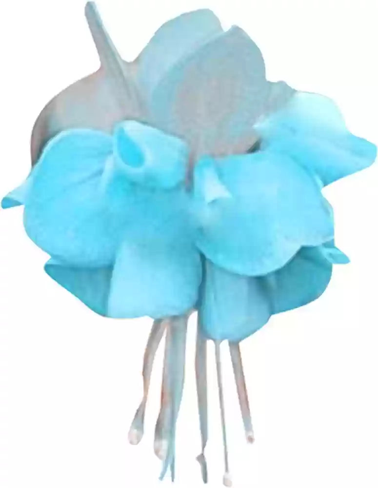 Sky Blue Fuchsia Hybrida Flower Seeds - 100 pcs