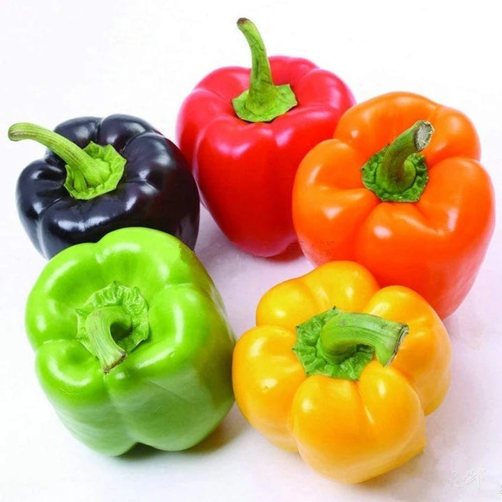 Sweet Pepper Rainbow Vegetable Seeds for Planting | Heirloom, Non-GMO, High Germination Organic Garden Seeds