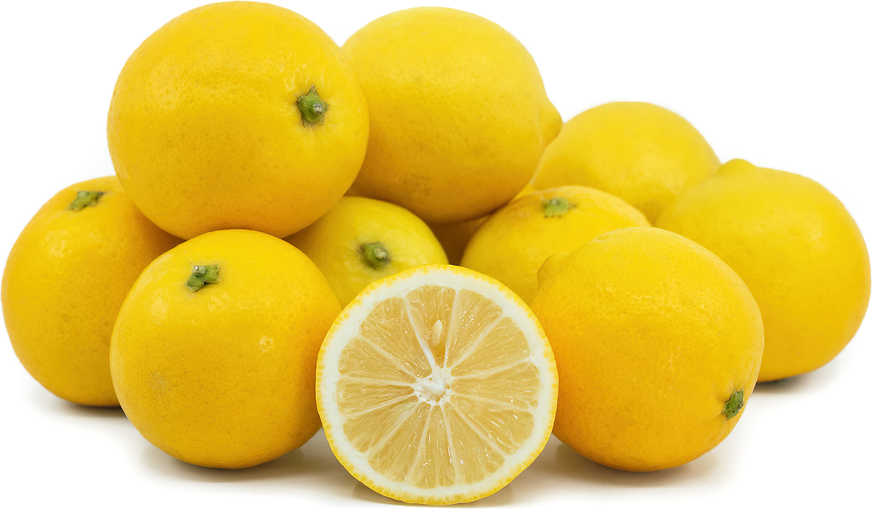 Sweet Persian Lemon Fruit Seeds for Planting - Low-Acid & Refreshing Flavor