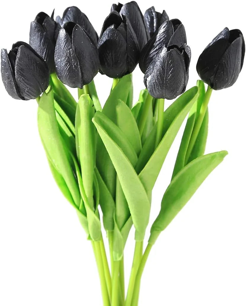 Black Tulip Flower Seeds for Planting – Heirloom, Non-GMO, High Germination Unique Dark Blooms