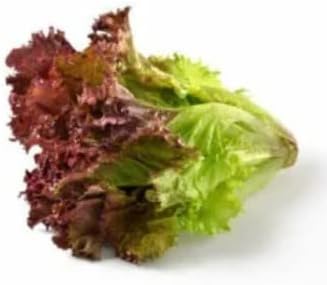 Red Green Lettuce Seeds for Planting