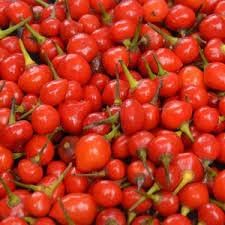 garden vegetable seeds for sale near me Wiri Wiri Vegetable Seeds for Planting heirloom & Non-GMO Seeds – Fresh  Vegetable for Your Garden, Vegetable Seeds – Neeraseeds