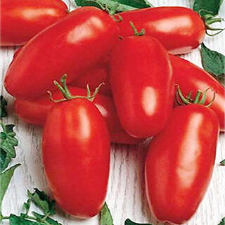 Red Banana Tomato Seeds for Planting - 100 pcs