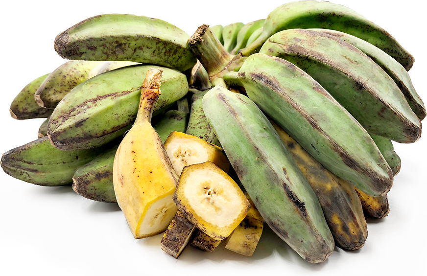 Saba Banana Fruit Seeds for Planting - Cultivating Vibrant and Tropical Banana Trees