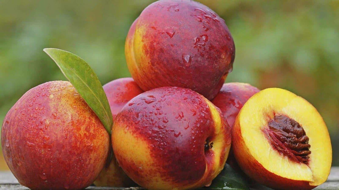 Red Nectarine Fruit Seeds - Grow Juicy and Sweet Nectarines at Home  100 pcs