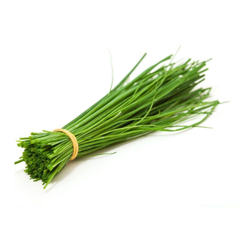 Chives Common Seeds for Planting – Heirloom, Non-GMO, Fast-Growing Herb