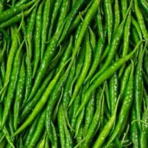 planting green chili seeds Indian Long Green Chili Seeds for Planting – High Yield, Non-GMO Veget – Neeraseeds