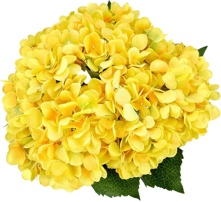 Gule hortensia blomsterfrø til plantning - 100 stk