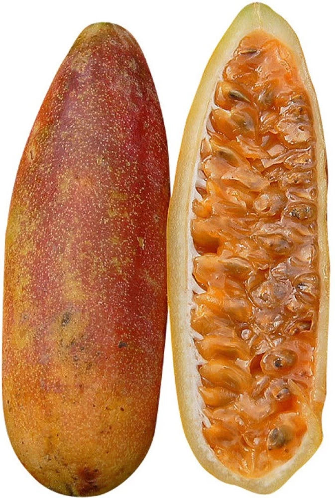 Orange Banana Passion Fruit Seeds for Planting - Sweet and Tangy Tropical Fruit for Your Garden