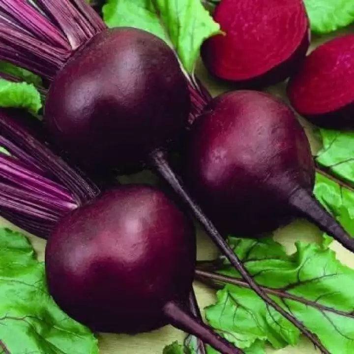 Maroon Red Beetroot Seeds for Planting - Heirloom & Non-GMO Seeds