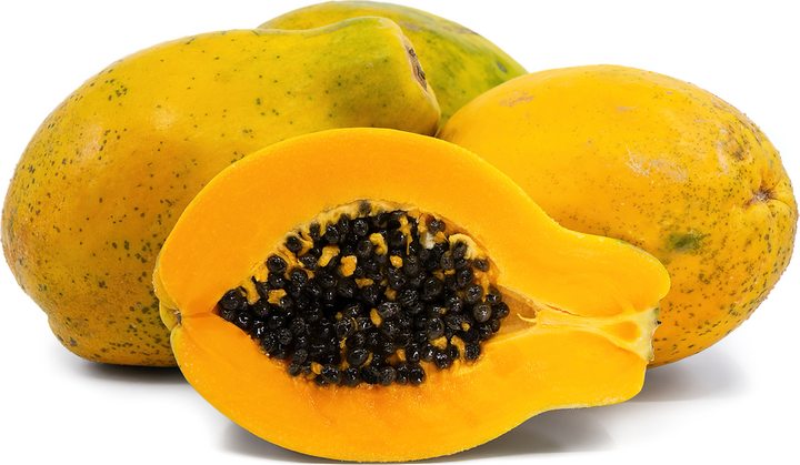 Sunrise Papaya (Strawberry Papaya) Fruit Seeds for Planting - Tropical Gardens & Sweet Fruits