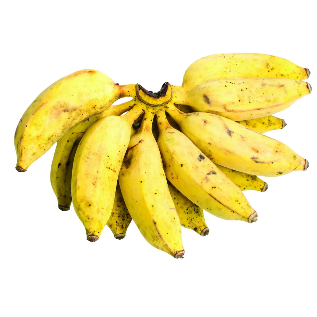 Goldfinger Banana Fruit Tree Seeds for Planting - Grow Exotic  Banana Trees in Your Yard