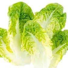 Butterhead Lettuce Seeds for Planting