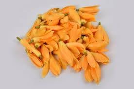 Flower Seeds, Seeds for Planting, Plant Seeds