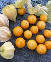 Tomatillo Vegetable Seeds for Planting