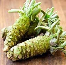 Heirloom Non-GMO Horseradish Seeds for Planting