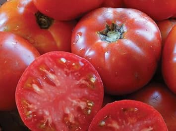 Cosmonaut Volkov Tomato Seeds for Planting