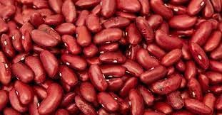 Kidney Bean Seeds for Gardening