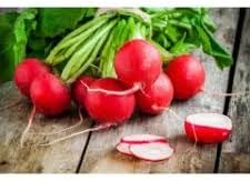 German Giant Radish Vegetable Seeds for Planting