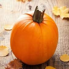 Heirloom Non-GMO Pumpkin Seeds for Vegetable Garden