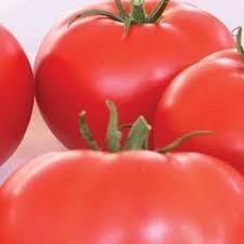 Hybrid Tomato Seeds for Planting