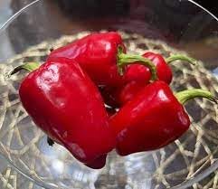 Halaby Pepper Vegetable Seeds for Planting