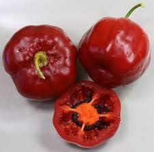 Red Giant Rocoto Seeds for Planting