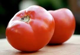 Abe Lincoln Heirloom Tomato Vegetable Seeds for Planting
