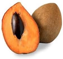 plant mamey seed Black Mission Fig Seeds – Heirloom Non-GMO Fruit Seeds for Garden Planting 100 pcs