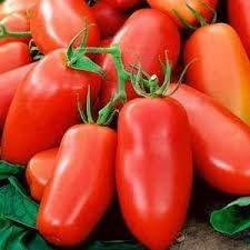 San Marzano Tomato Seeds for Planting