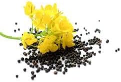 Flower Seeds, Seeds for Planting, Plant Seeds