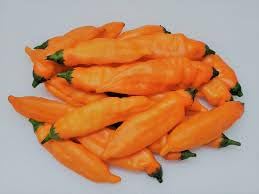 Aji Mango Chile Pepper Seeds for Planting