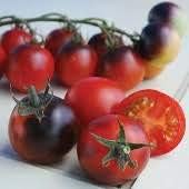 Red Black Tomato Seeds for Planting