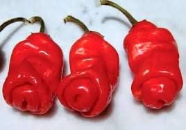 Heirloom Peter Pepper Seeds