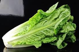 Romaine Lettuce Seeds for Planting