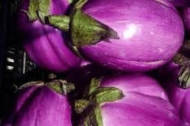 Eggplant Aubergine Seeds for Planting