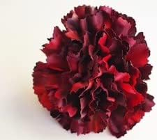 Flower Seeds, Seeds for Planting, Plant Seeds