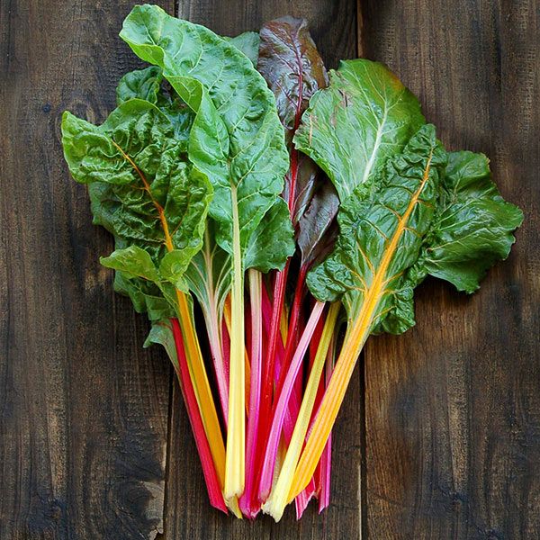 Swiss Chard Rainbow Seeds – Heirloom, High Yield, Colorful Leafy Greens
