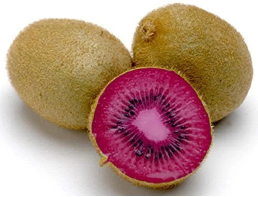 Pink Kiwi Fruit Seeds for Planting - Hardy, Self-Fertile Kiwi Vines, Heirloom & Non-GMO Seeds