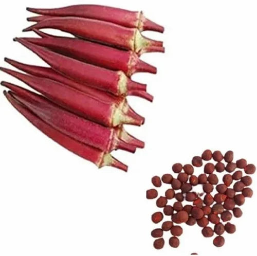 Red Okra Seeds for Planting – Heirloom, Non-GMO Vegetable Seeds for Home Garden & Organic Growing